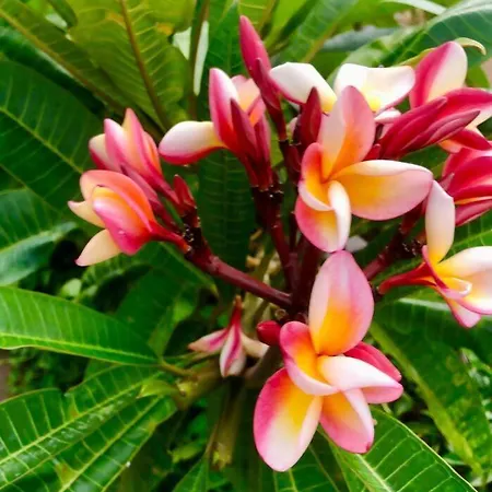 Moderno En Zona Privilegiada * Santa Úrsula