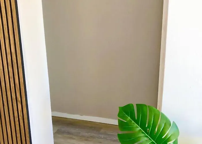 Moderno En Zona Privilegiada 圣乌尔苏拉