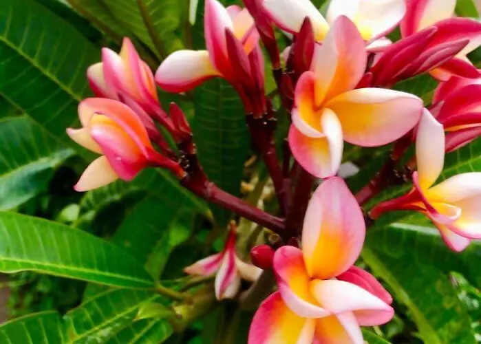 Moderno En Zona Privilegiada * Santa Úrsula